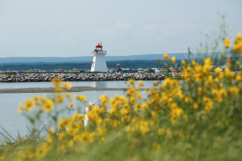 MRCBonaventure_Bonaventure phare.jpeg